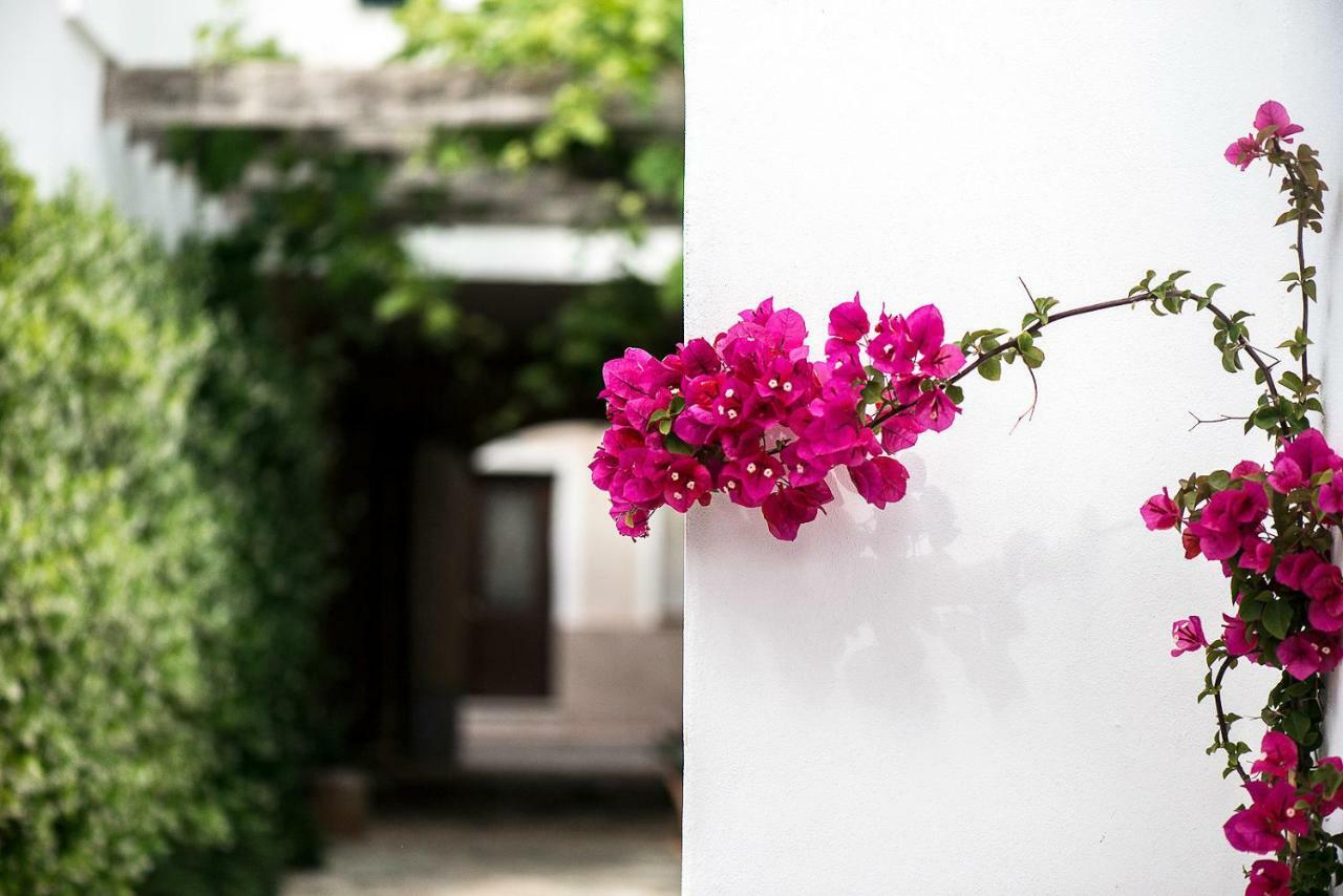 Hotel Coliving Add Livitum Ciutadella  Esterno foto