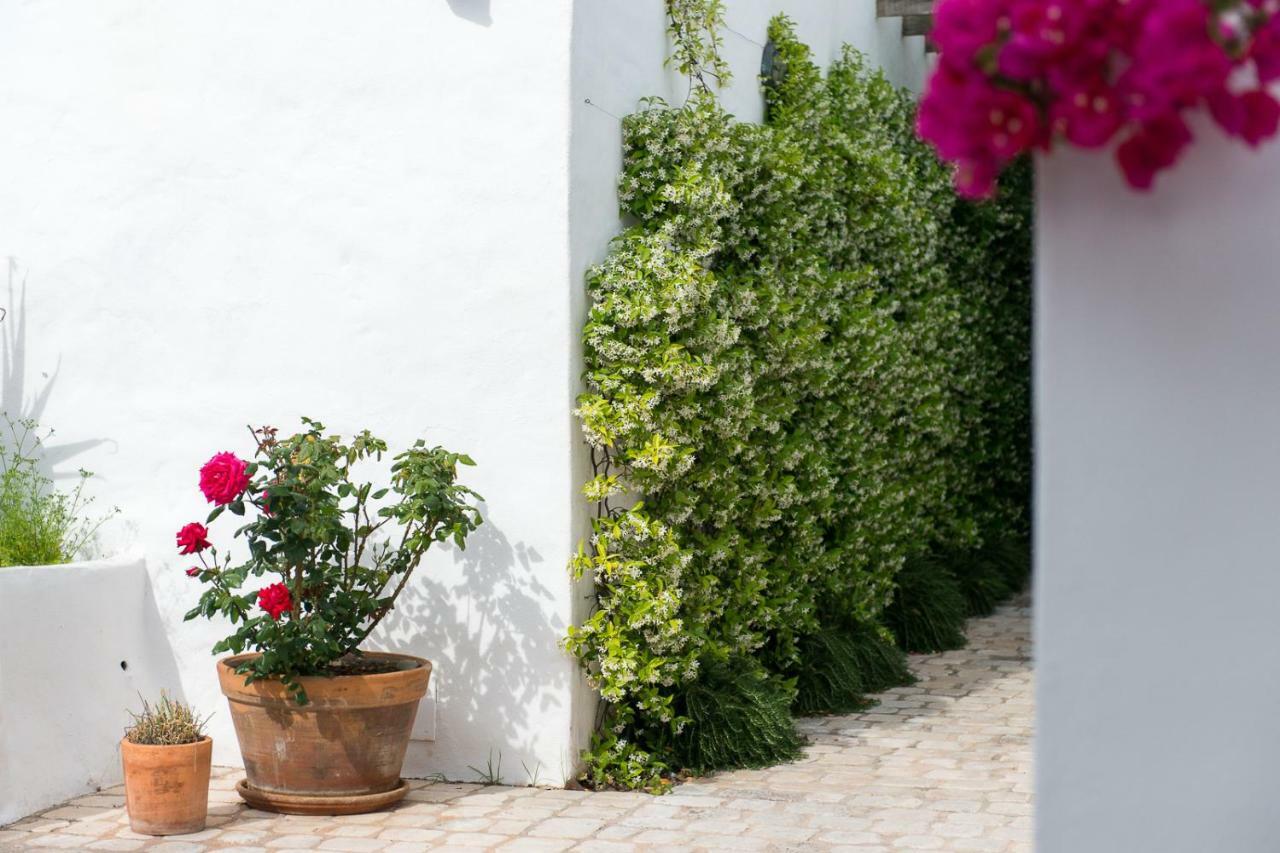 Hotel Coliving Add Livitum Ciutadella  Esterno foto