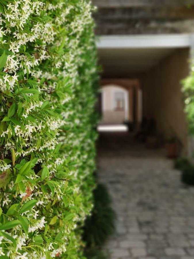 Hotel Coliving Add Livitum Ciutadella  Esterno foto